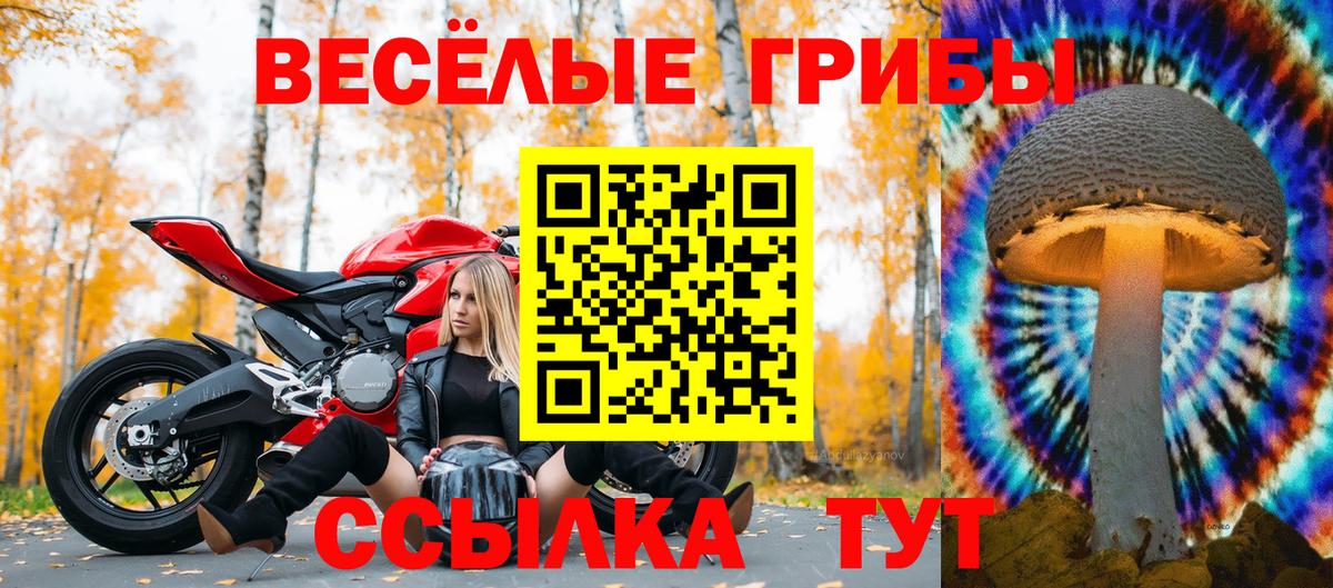 Галлюциногенные грибы Psilocybine cubensis  Вход с VPN  дарнет шоп  Нефтекумск 