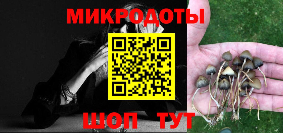 Псилоцибиновые грибы GOLDEN TEACHER Нефтекумск